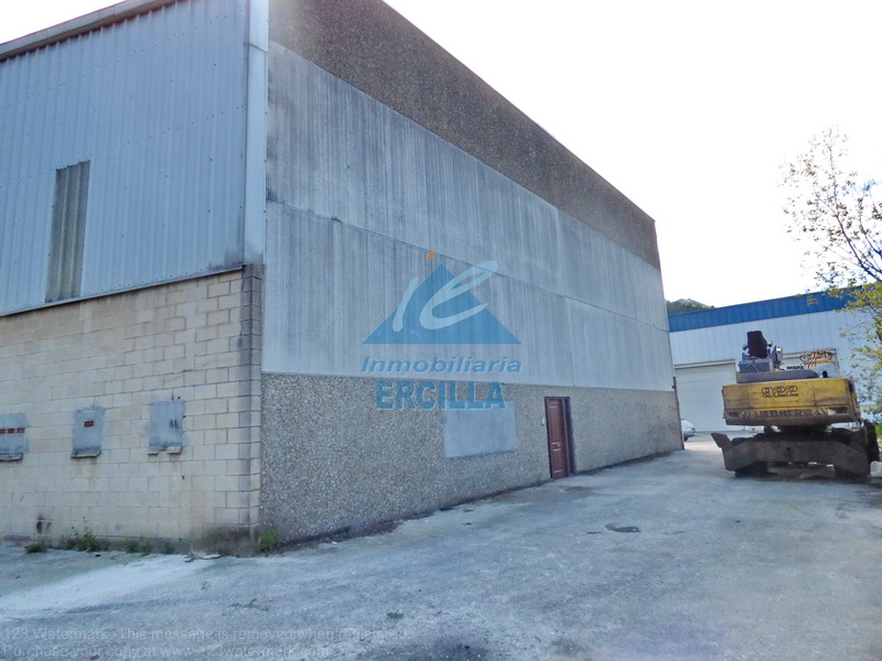 Imagen de Nave industrial con muelles de carga en Arrigorriaga